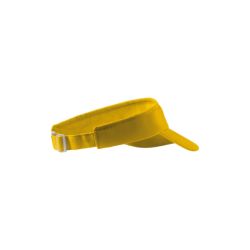 Sunvisor - 19