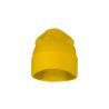 Beanie - 1