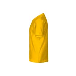 Pelican - 20