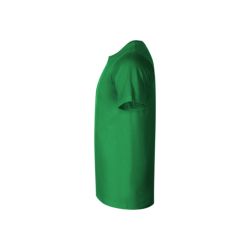 Paint - 55