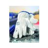 Celokožené rukavice ARDON®INDY - s prodejní etiketou - 2