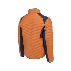 L-SURE WALSH bunda - 2