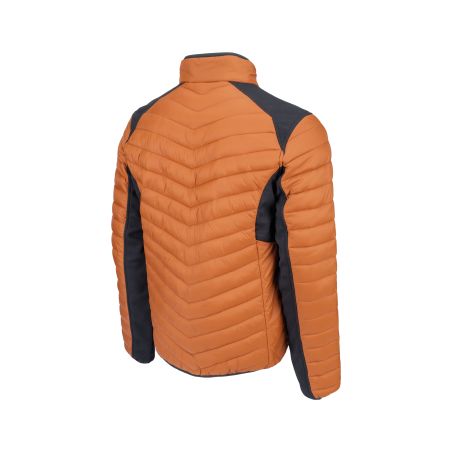 L-SURE WALSH bunda - 2