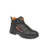 FORTIS S3 High - 3