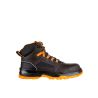 FARMIS 2.0 S3S NM High - 2