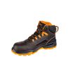 FARMIS 2.0 S3S NM High - 6